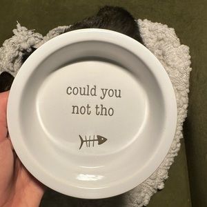 Whisker City Ceramic Cat Food Bowl